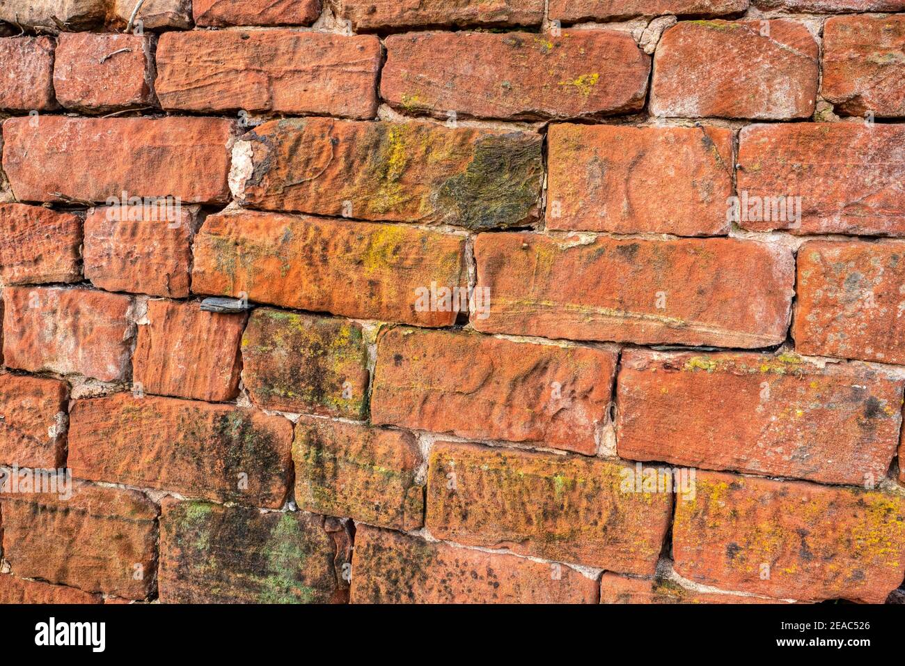 Sanstein Wall, Kastel-Staadt, vallée du Saar, Rhénanie-Palatinat, Allemagne Banque D'Images