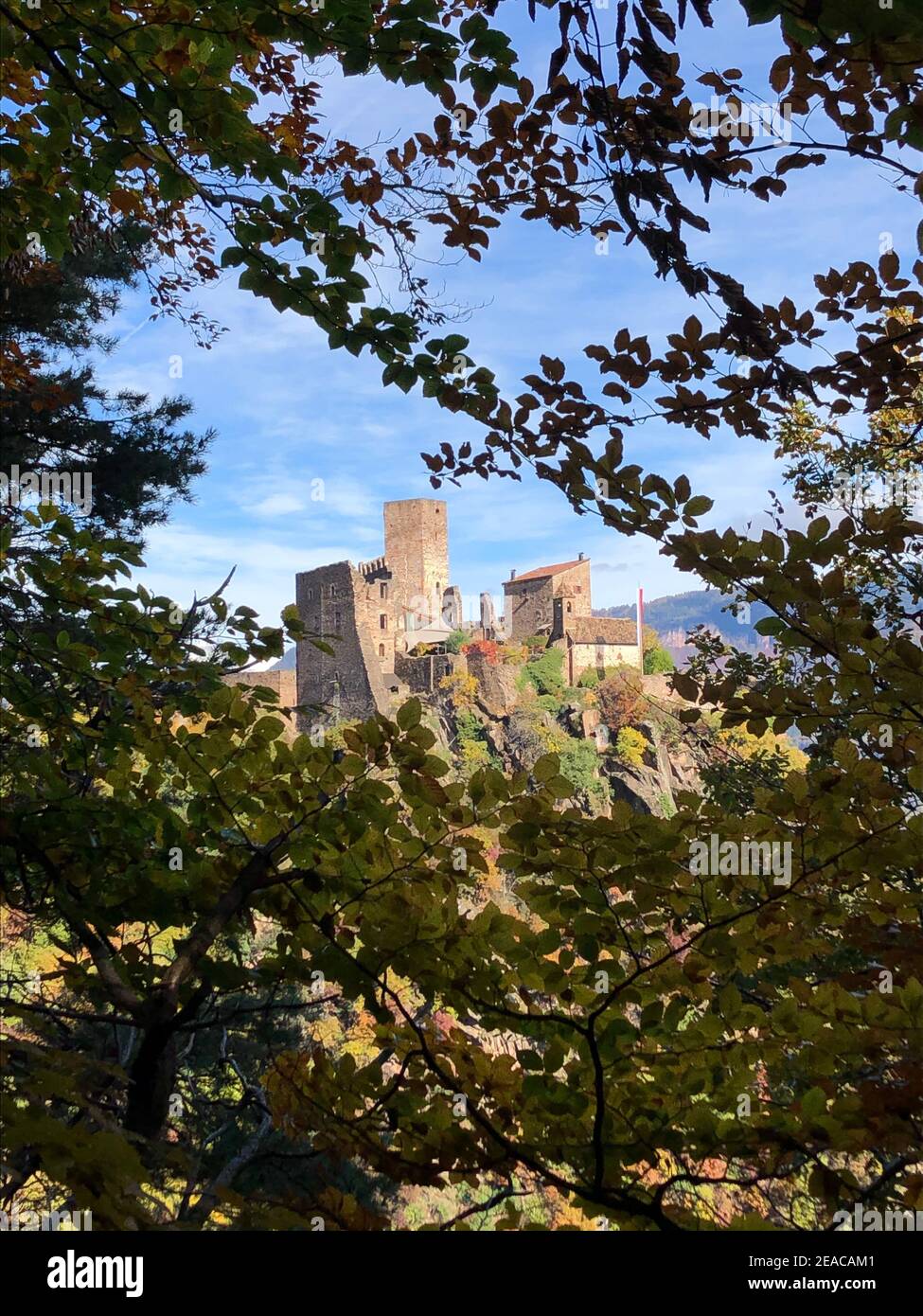 Château de Hocheppan en automne, Eppaner Burgenweg, bassin de Bolzano, vignobles, châteaux, nature, paysage, Bolzano, Eppan, Tyrol du Sud, Italie Banque D'Images