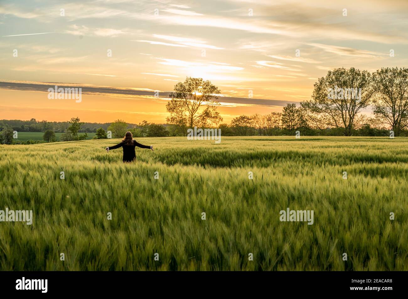 Femme au coucher du soleil dans le champ de maïs Banque D'Images