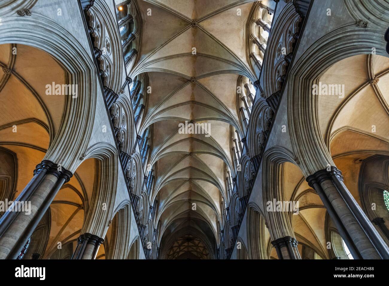 Angleterre, Wiltshire, Salisbury, Cathédrale de Salisbury, vue intérieure Banque D'Images