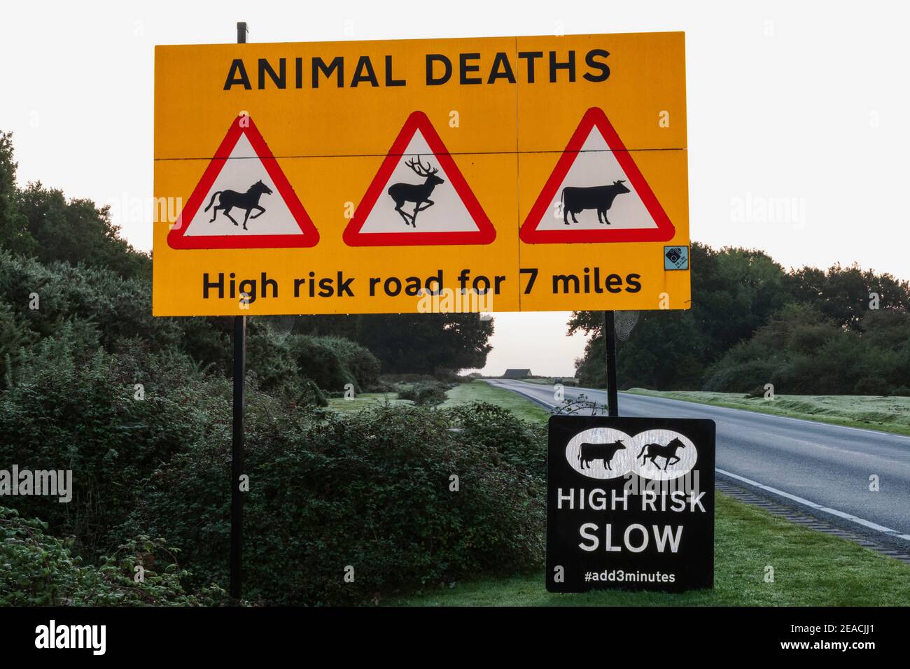 Angleterre, Hampshire, New Forest, signe d'avertissement d'animal de dépannage Banque D'Images