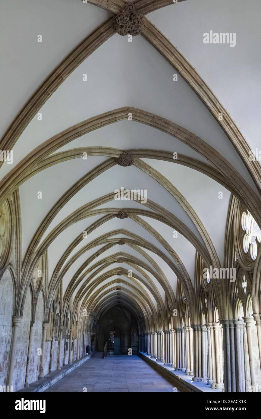 L'Angleterre, dans le Wiltshire, Salisbury, cathédrale de Salisbury, le Cloître Banque D'Images