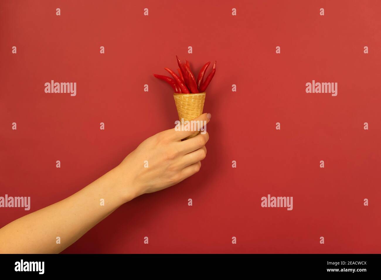La main d’une femme contient des petits poivrons rouges chauds dans le cône gaufré sur fond rouge Banque D'Images