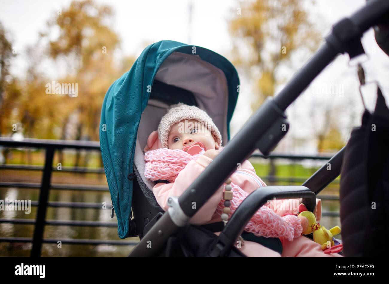 Bébé dans une poussette lors d'une promenade dans le parc d'automne. Adorable petite fille dans des vêtements chauds assis dans une poussette bleue. Enfant avec mamelon en buggy Banque D'Images