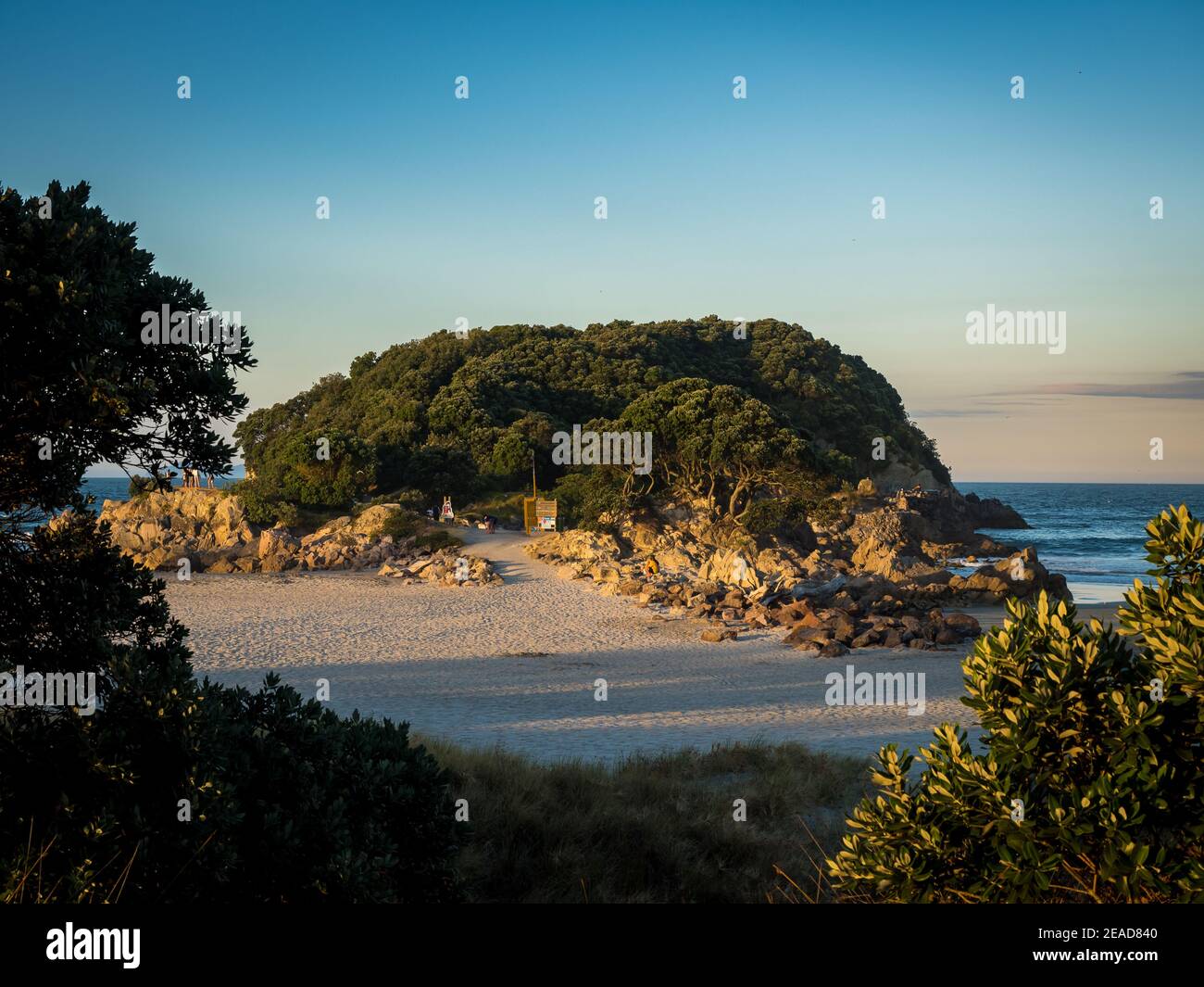 Île de loisirs du mont maunganui dans la baie de Tauranga de l'abondance Banque D'Images