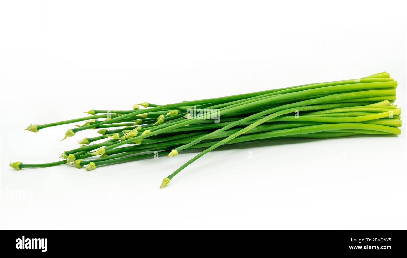 Fleur de callion biologique ou Allium cesp ou Onion Flower Stem sur fond blanc, légume asiatique long avec un arôme fort. Banque D'Images