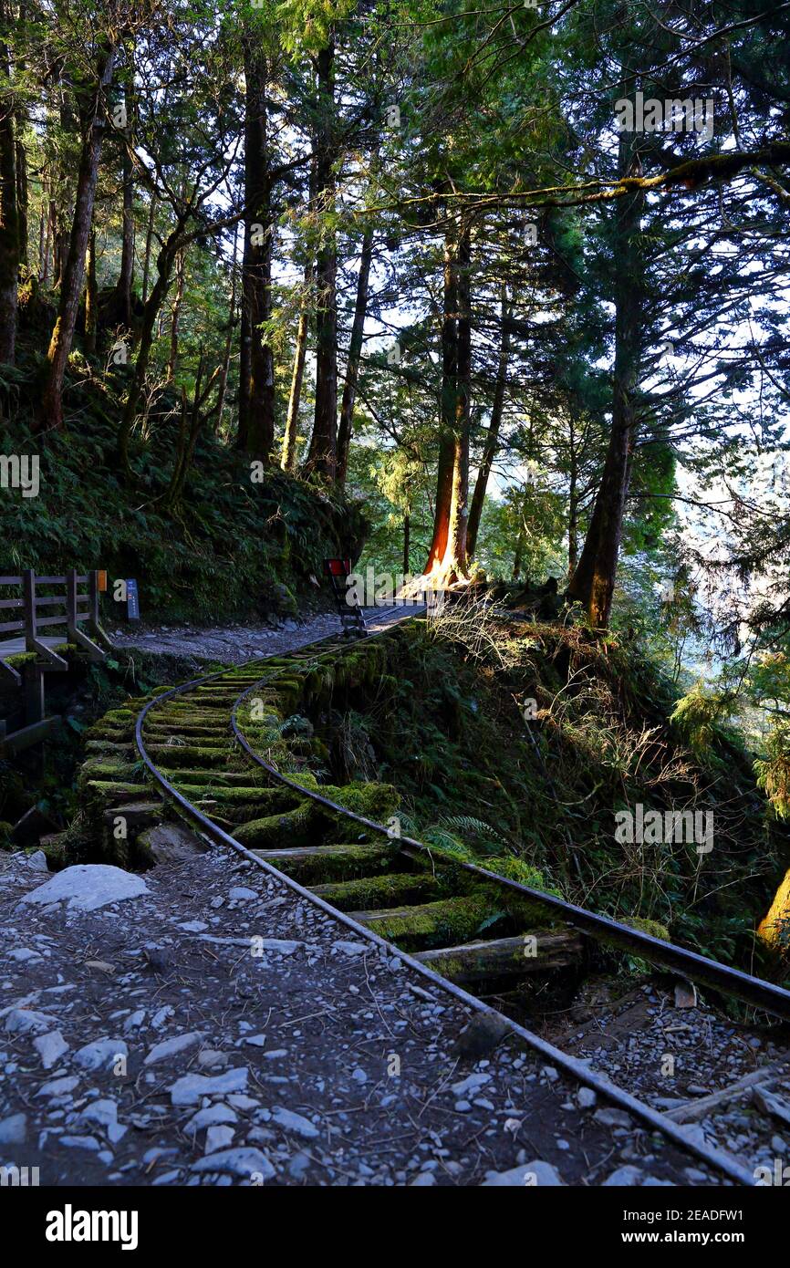 (Jianqing Huaigu Trai) à l'aire de loisirs forestière nationale de Taipingshan à Yilan, Taïwan Banque D'Images