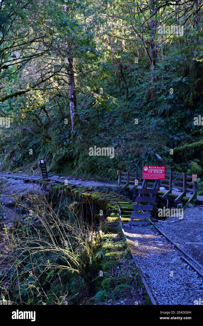 (Jianqing Huaigu Trai) à l'aire de loisirs forestière nationale de Taipingshan à Yilan, Taïwan Banque D'Images