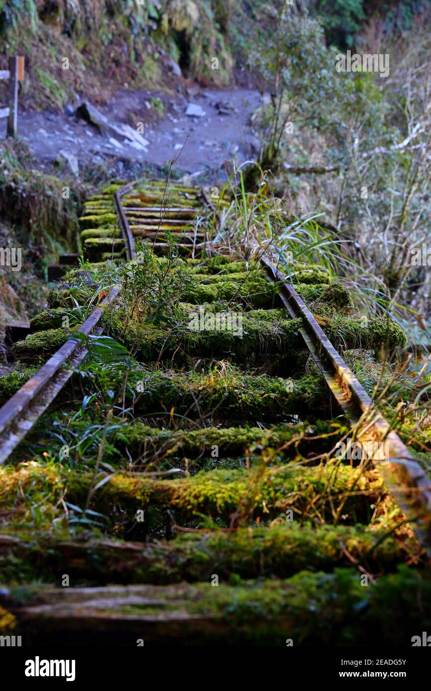 (Jianqing Huaigu Trai) à l'aire de loisirs forestière nationale de Taipingshan à Yilan, Taïwan Banque D'Images