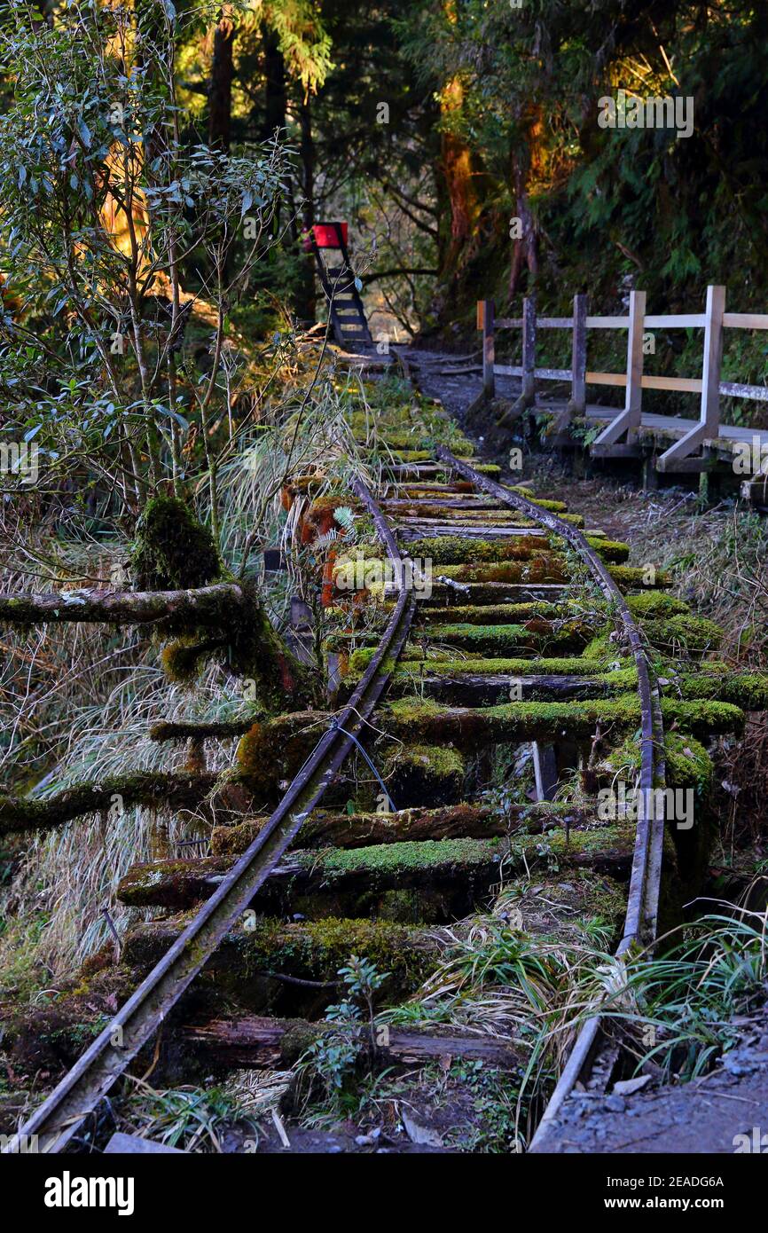 (Jianqing Huaigu Trai) à l'aire de loisirs forestière nationale de Taipingshan à Yilan, Taïwan Banque D'Images