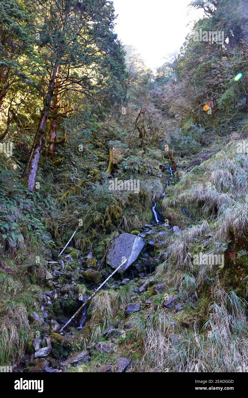 (Jianqing Huaigu Trai) à l'aire de loisirs forestière nationale de Taipingshan à Yilan, Taïwan Banque D'Images