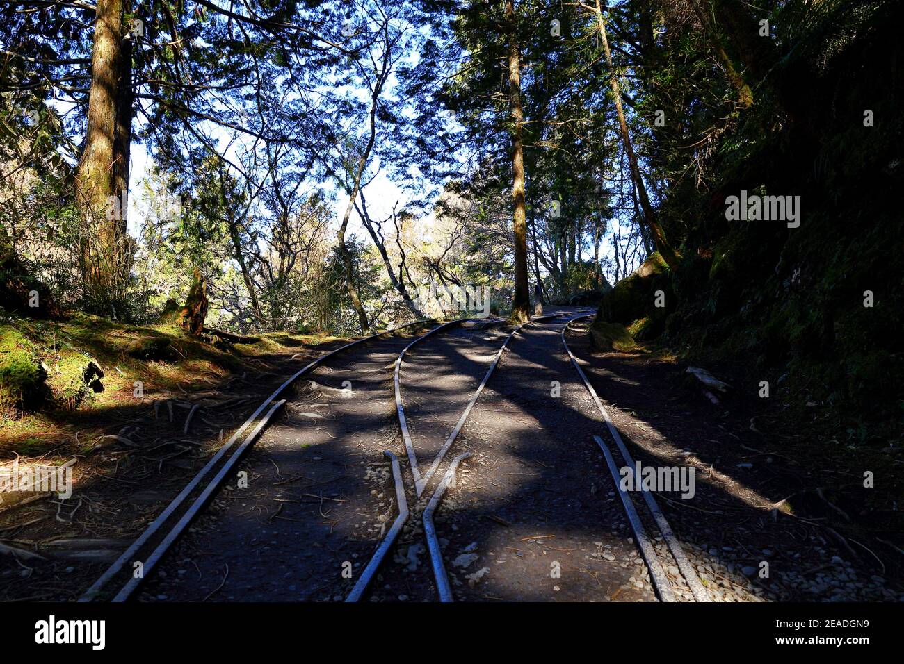 (Jianqing Huaigu Trai) à l'aire de loisirs forestière nationale de Taipingshan à Yilan, Taïwan Banque D'Images