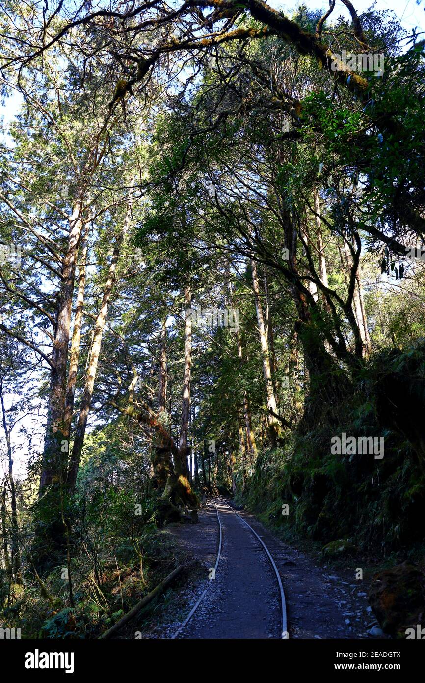 (Jianqing Huaigu Trai) à l'aire de loisirs forestière nationale de Taipingshan à Yilan, Taïwan Banque D'Images