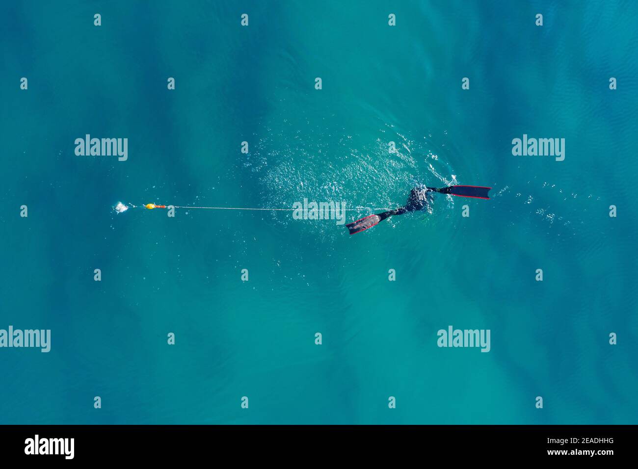 Speargun pêcheur plongée dans la mer, avec une piqûre de poisson frais pêché et la laisse attachée à sa jambe. Banque D'Images