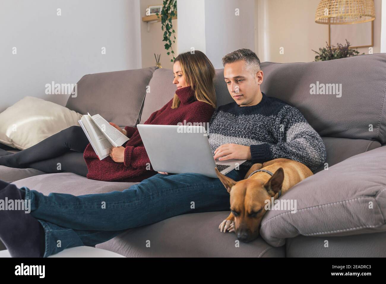 Un jeune couple et son chien apprécient leur temps libre et se détendent sur le canapé à la maison, lisant un livre et utilisant un ordinateur portable. Concept de vie de couple Banque D'Images
