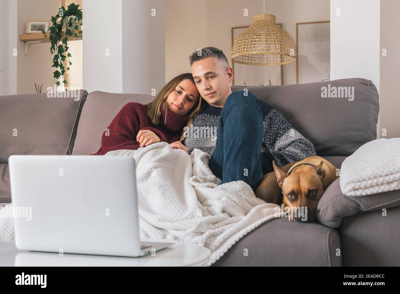 Un jeune couple romantique et leur chien dans une maison confortable, se détendre sur le canapé tout en regardant des films sur un ordinateur portable. Concept de vie de couple Banque D'Images