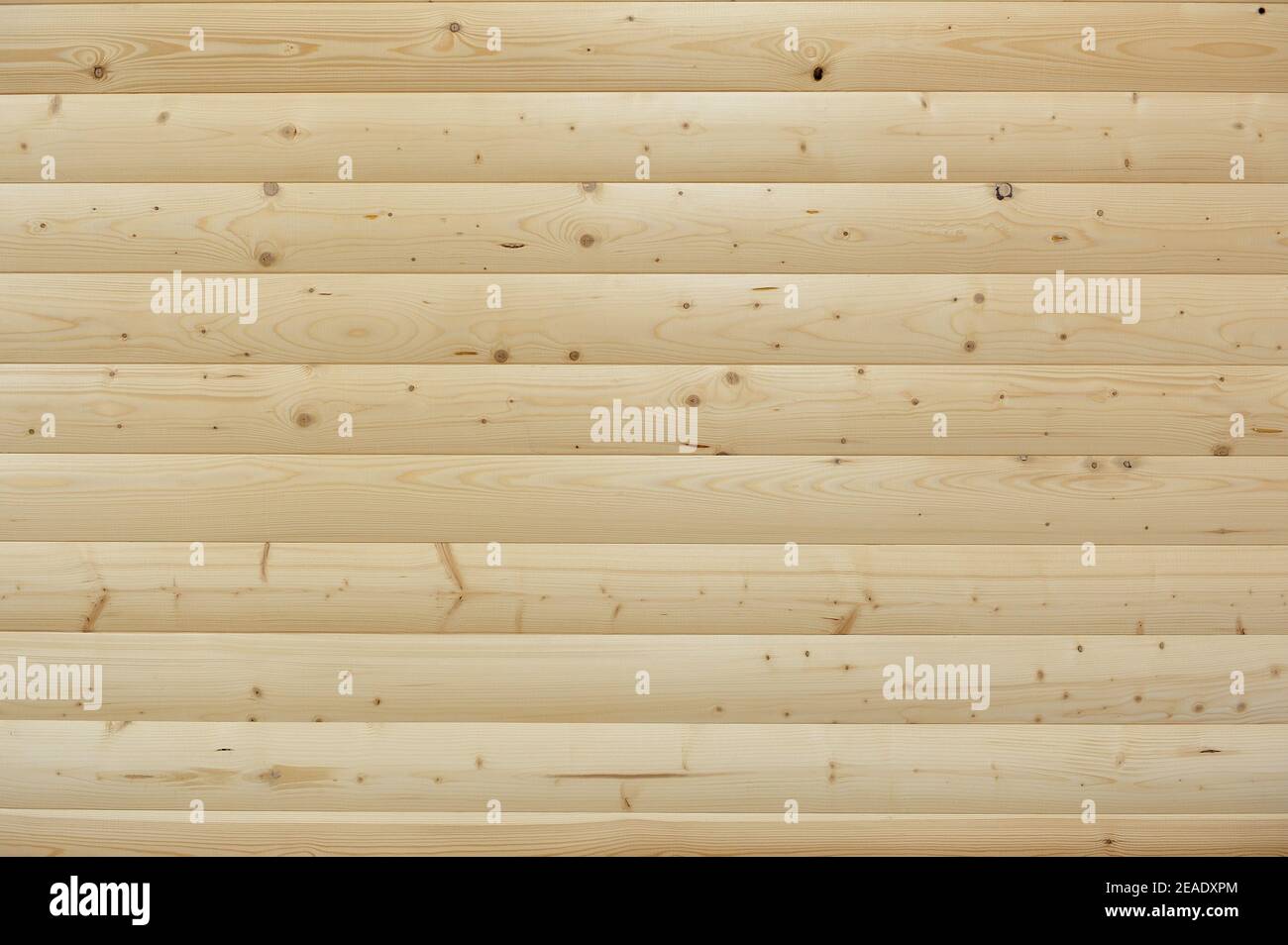 Texture murale en bois clair de planches en bois Banque D'Images