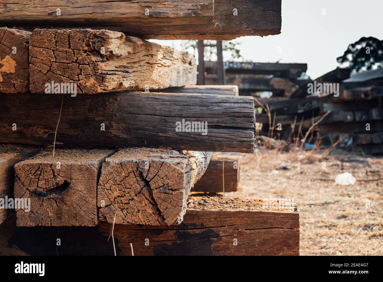 Traverses de chemin de fer en bois Banque de photographies et d’images