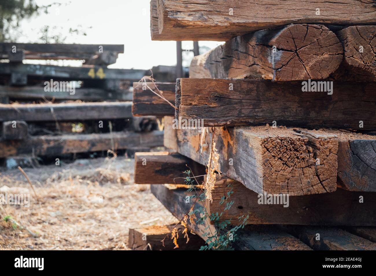 Traverses de chemin de fer en bois Banque de photographies et d’images