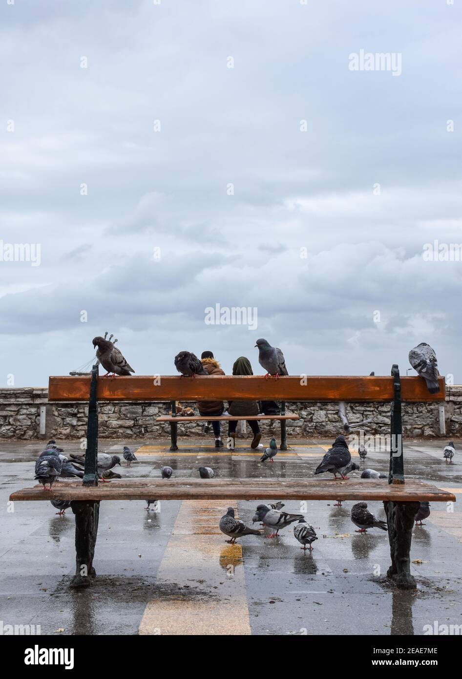 Un jeune couple assis sur un banc en bois dans la ville, Alger, Algérie Banque D'Images