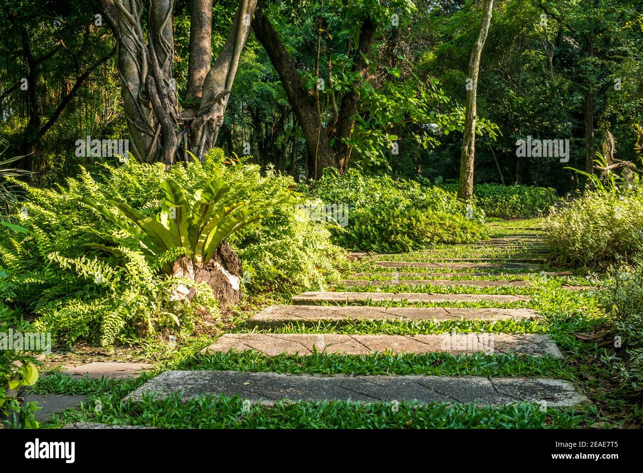 Aménagement paysager dans le jardin, passerelle de la tôle de ciment Banque D'Images