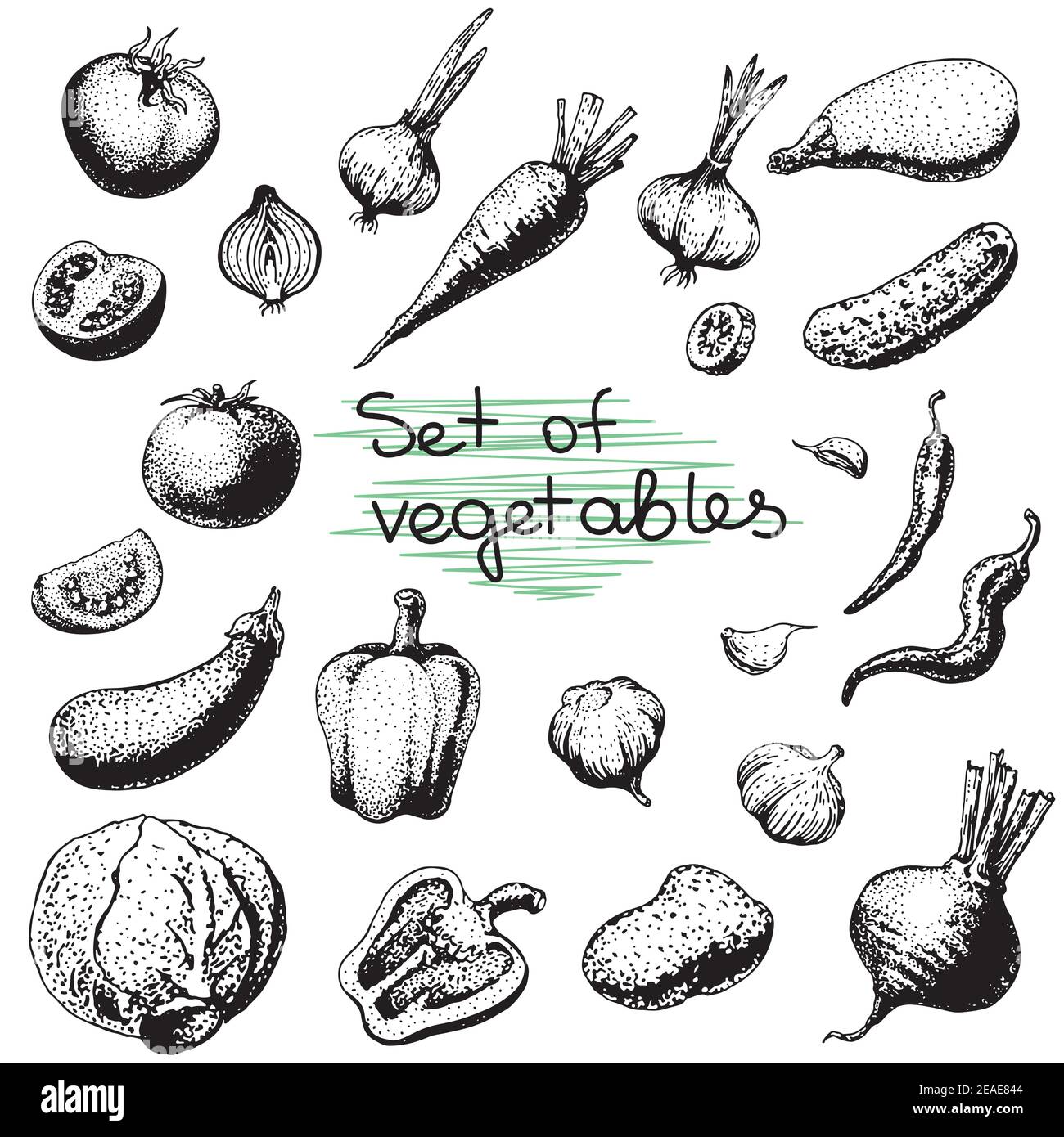 Ensemble de légumes d'esquisse vectorisés à la main. Illustration de l'éco-alimentation.Vector. Illustration de Vecteur