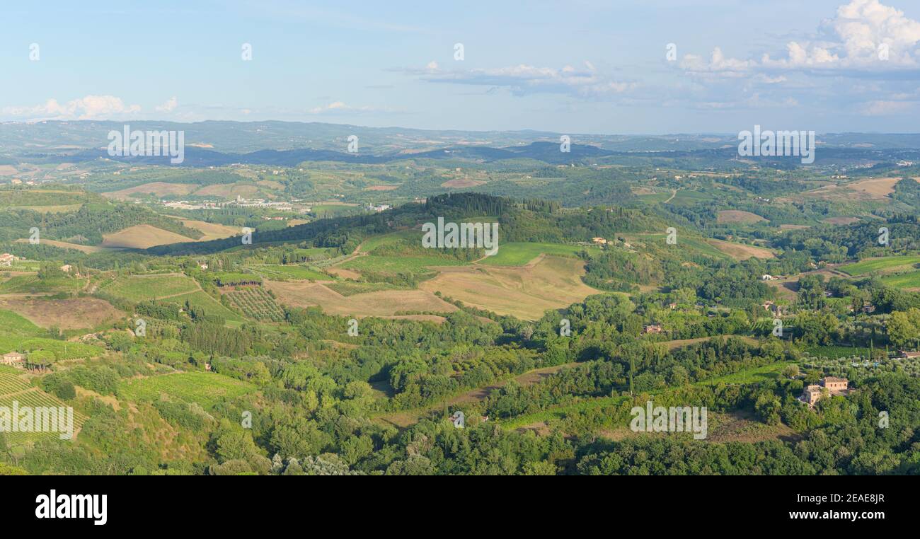 Paysage typique avec des collines ondoyantes et des vignobles autour de la ville de San Gimignano, Toscane, Italie Banque D'Images