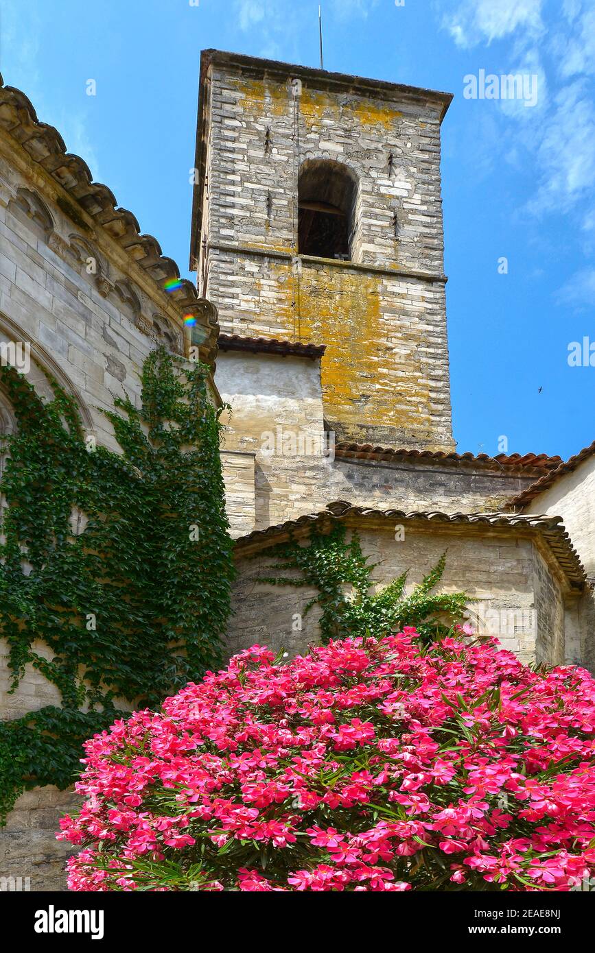 Église notre Dame de Romigier et rosebay rouge à Manosque, est la plus grande commune française du département des Alpes-de-haute-Provence Banque D'Images