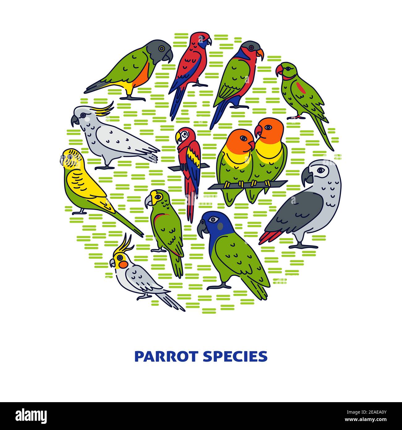 Bannière concept ronde perroquet lumineuse de style coloré. Modèle d'affiche avec symboles oiseau tropical. Illustration vectorielle. Illustration de Vecteur