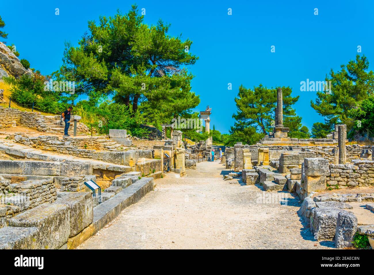 Parc archéologique de Glanum près de Saint Remy de Provence en France Banque D'Images