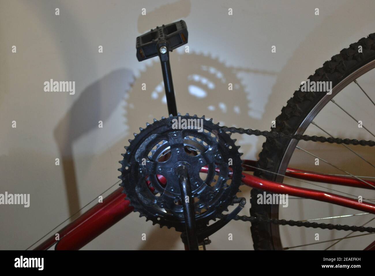 Vélo. Roue dentée, chaîne, pédale, pneu, rayons et partie du cadre d'un vélo rouge pour usage domestique ou sportif, zoom photo, lumière LED bleue, Brésil, S. Banque D'Images