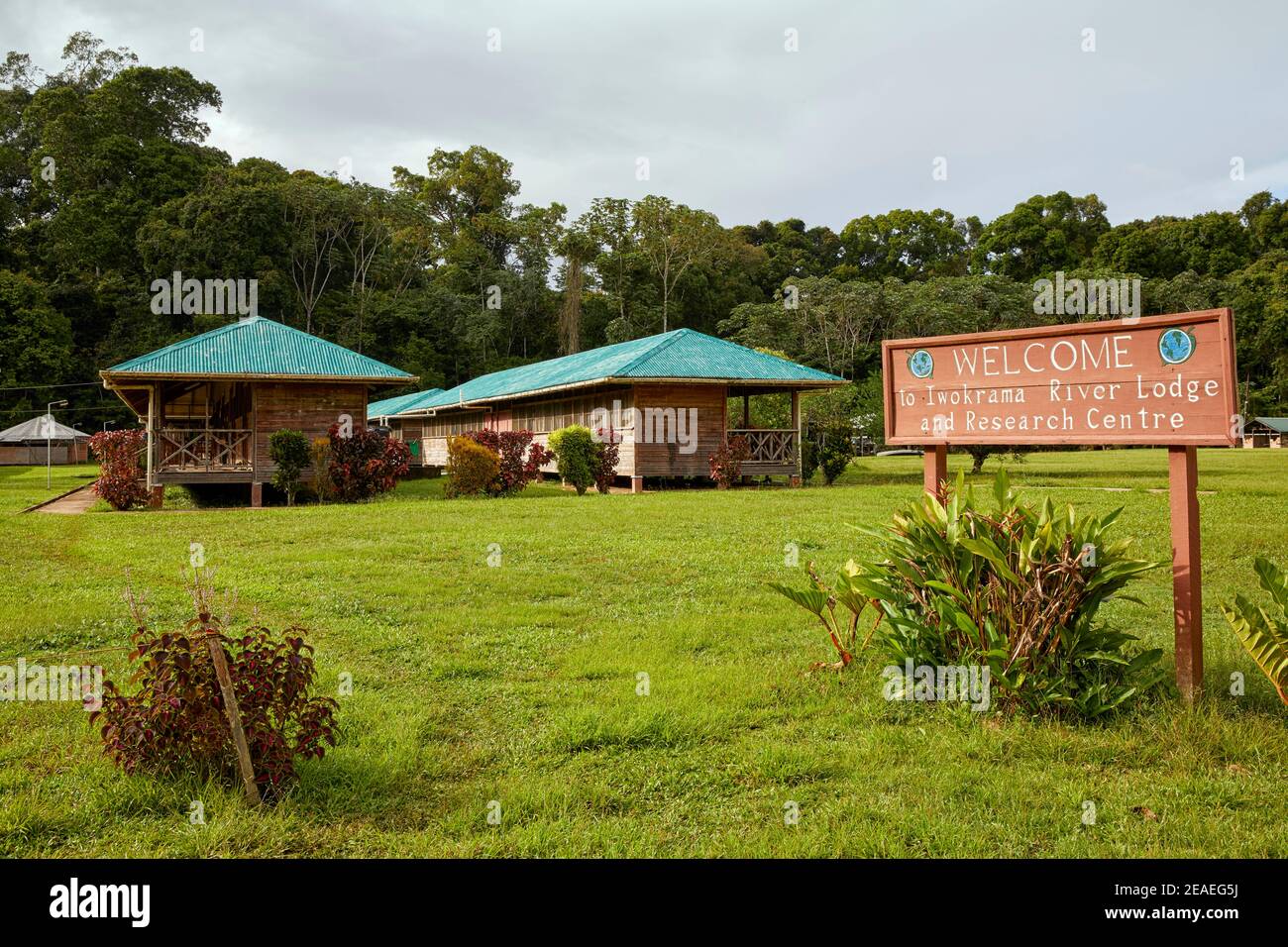 Iwokrama River Lodge and Research Centre anciennement connu sous le nom de station de campagne d'Iwokrama dans la forêt d'Iwokrama, Guyana Banque D'Images