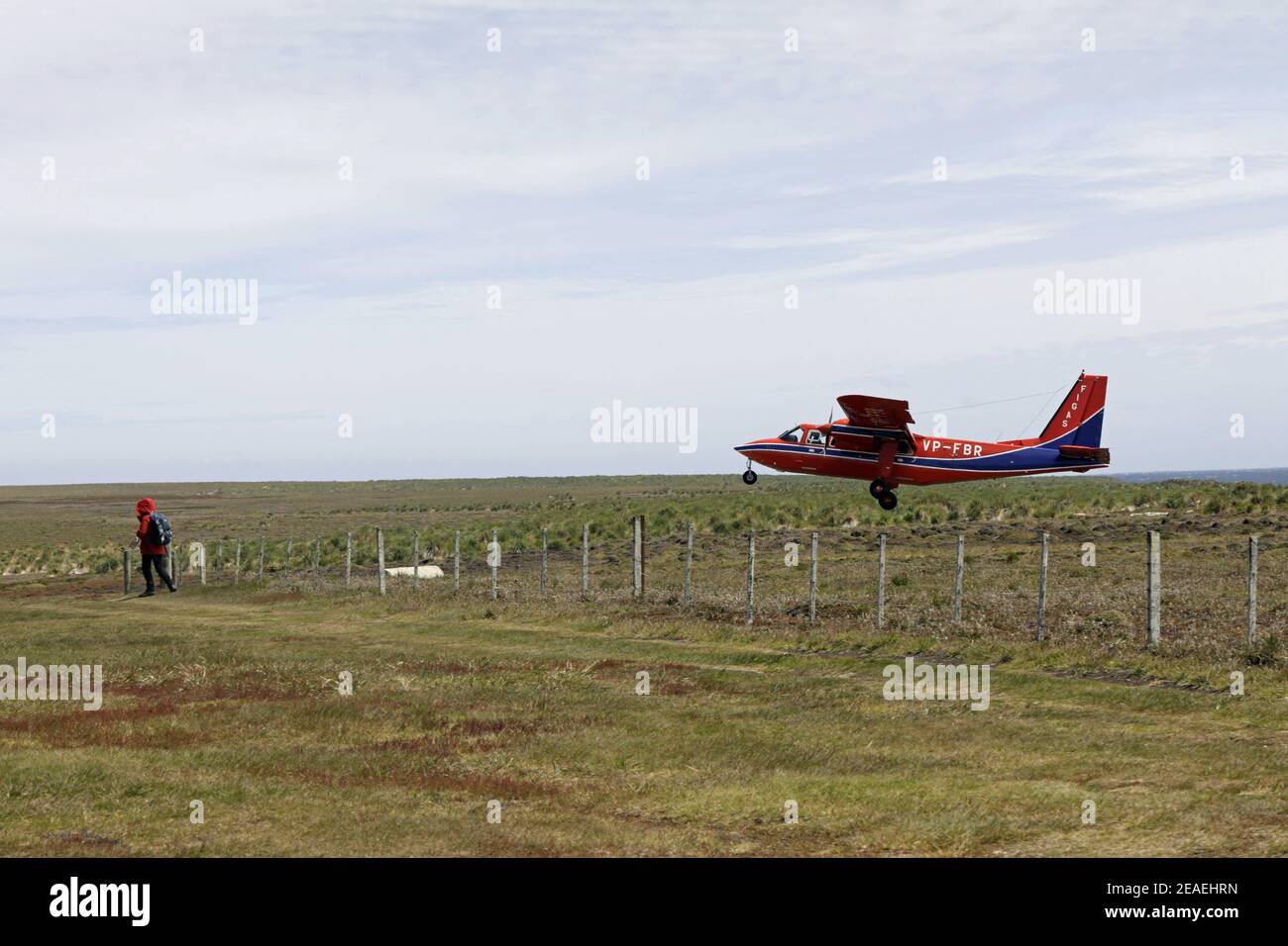 Atterrissage d'un avion sur l'île Sea Lion, Falklands Banque D'Images