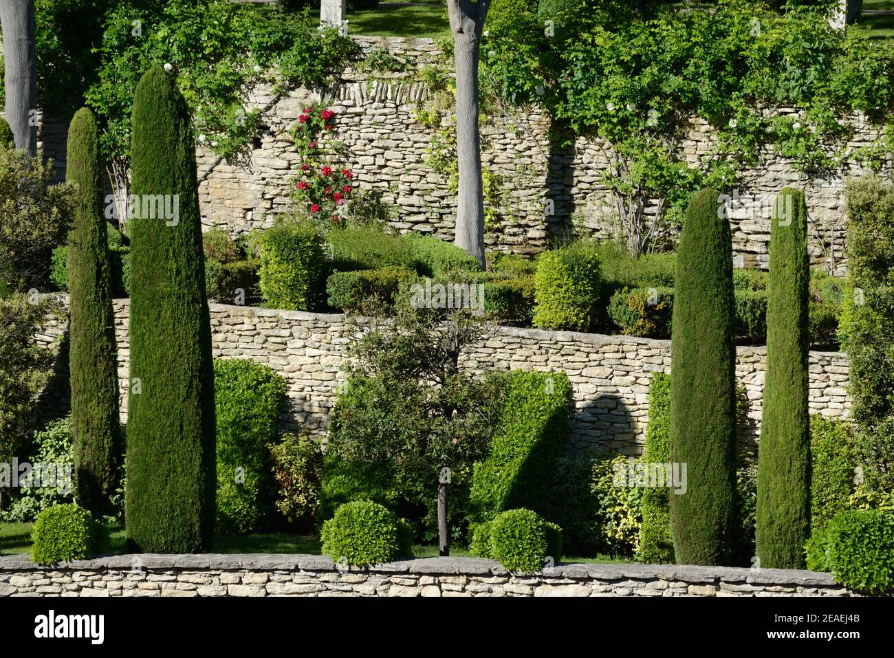 Jardins en terrasse avec murs en pierre sèche, arbustes topiaires ou arbustes taillés et cyprès méditerranéens Gordes Luberon Provence France Banque D'Images