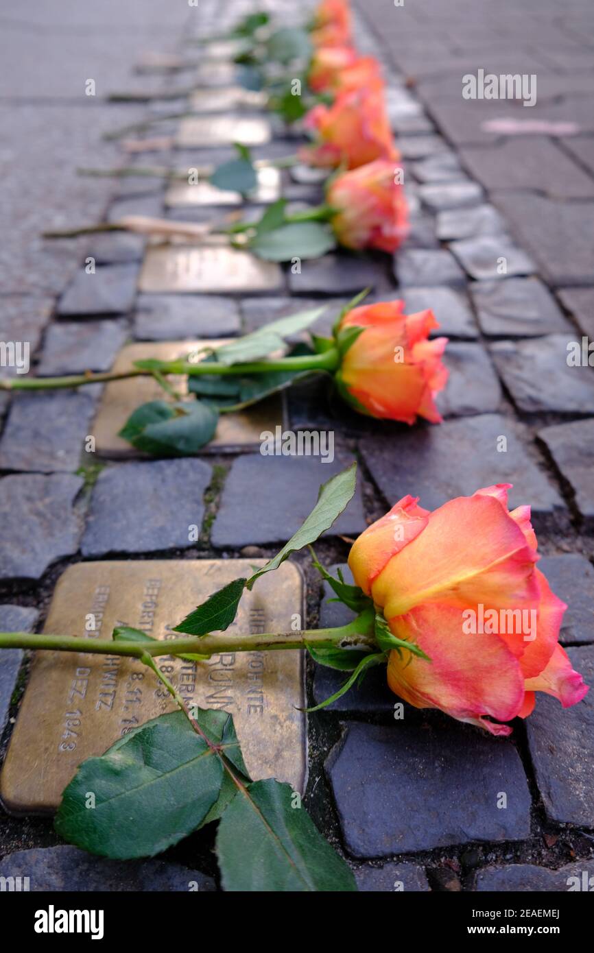 Des roses ont été posées sur les mémoriaux de Stolperstein aux victimes de l'Holocauste à Berlin Banque D'Images