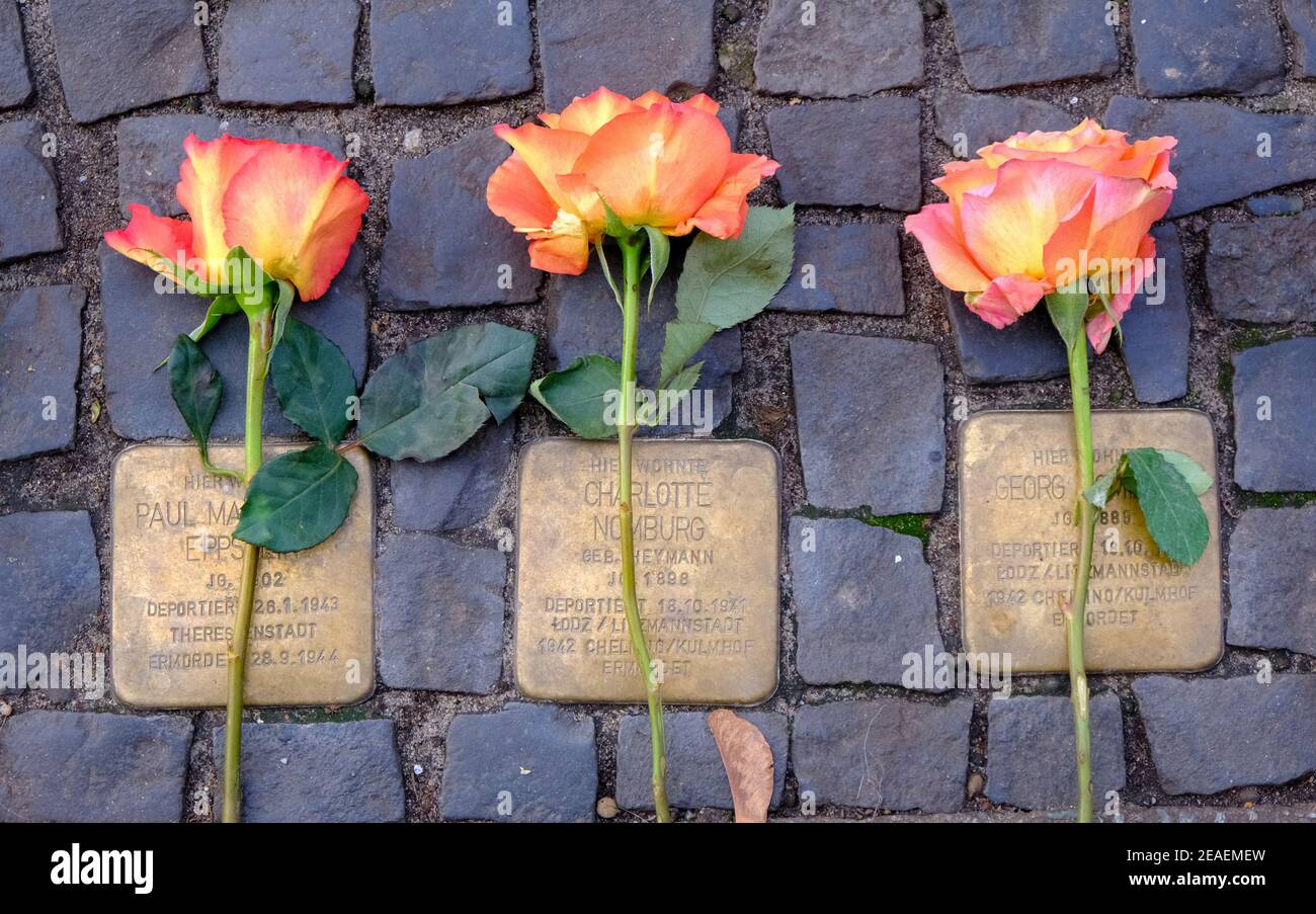 Des roses ont été posées sur les mémoriaux de Stolperstein aux victimes de l'Holocauste à Berlin Banque D'Images