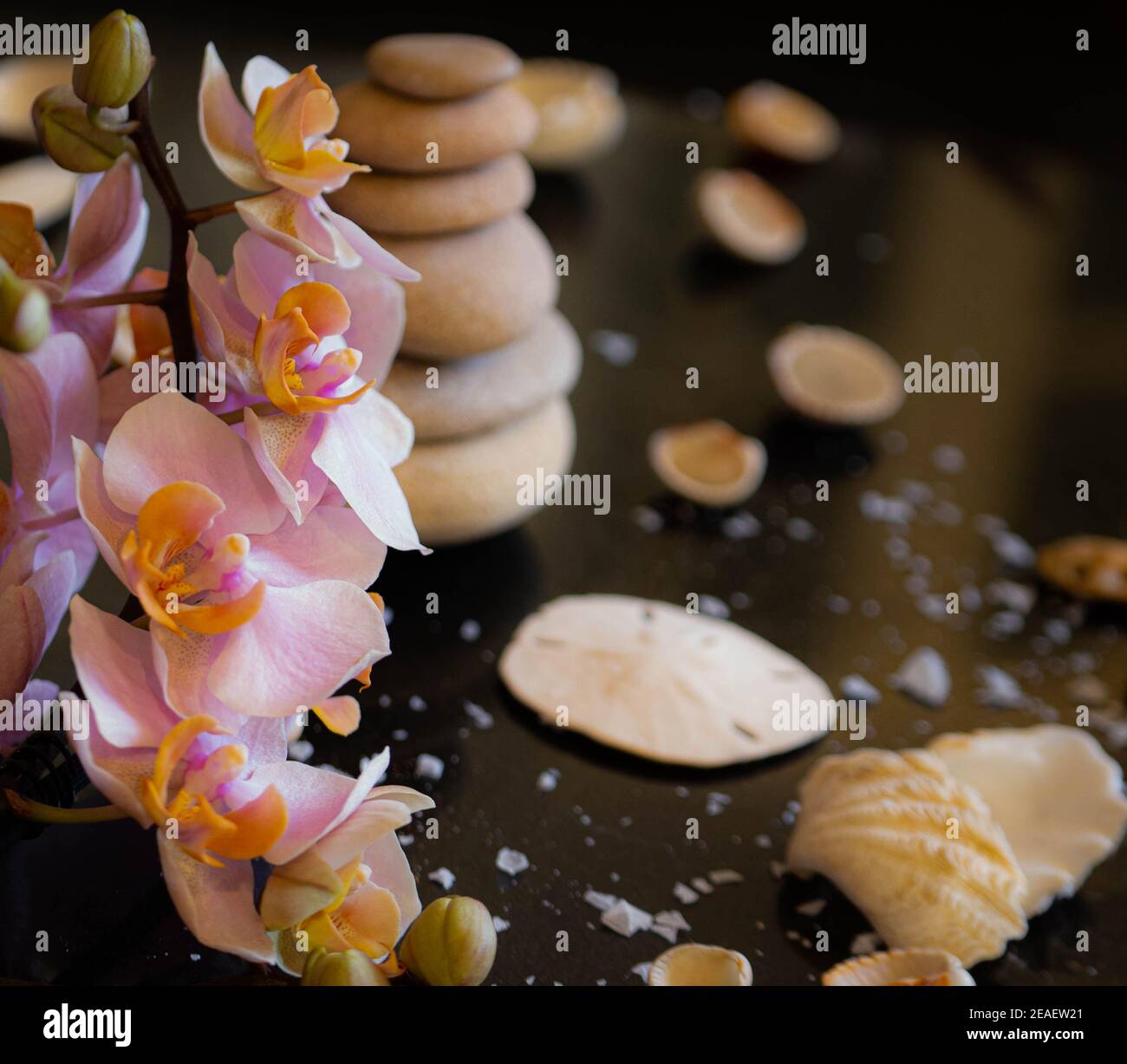 Centre Thermal Le Zen Comme Mode De Vie Carte De Vœux Avec Jolie Orchidee Rose Photo Stock Alamy