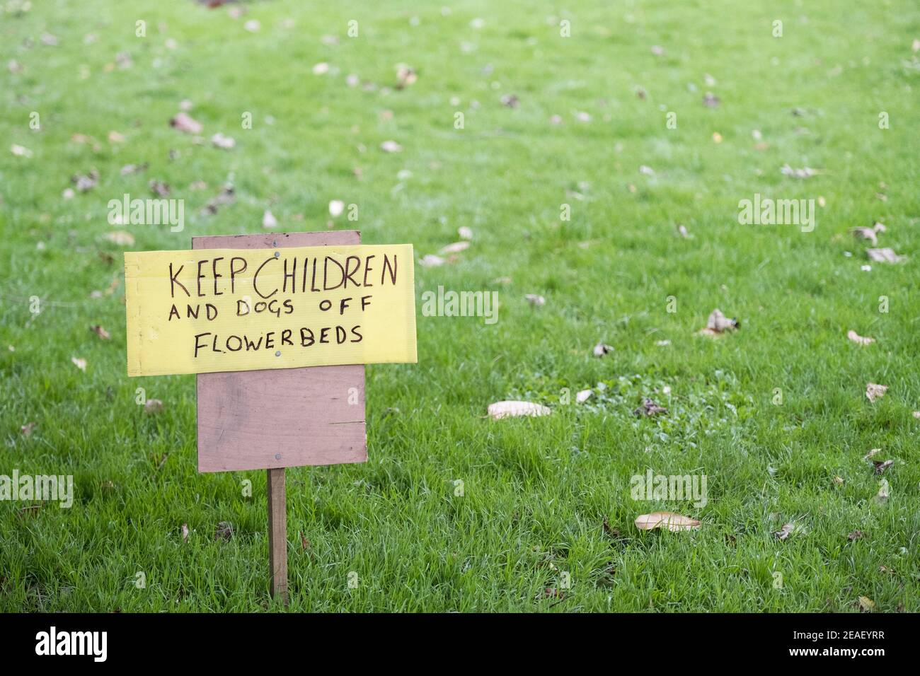 Une pancarte manuscrite demandant aux enfants et aux chiens de garder hors des parterres de fleurs. Banque D'Images