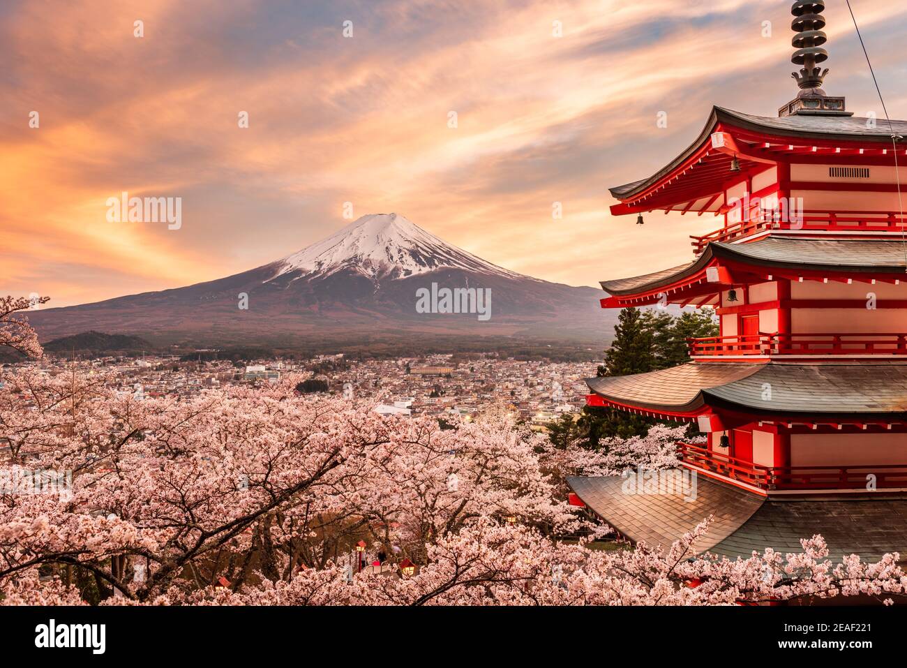 fresque asiatique geisha pagode torii cerisiers mont fuji