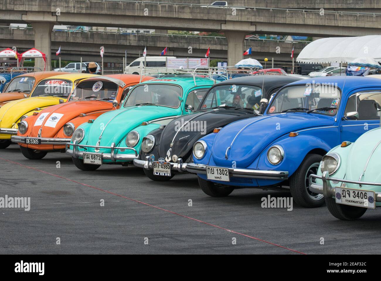 Thaïlande, Bangkok : la rangée de coléoptères VW au Siam VW Festival, une rencontre automobile classique pour Volkswagen refroidi par air. Banque D'Images