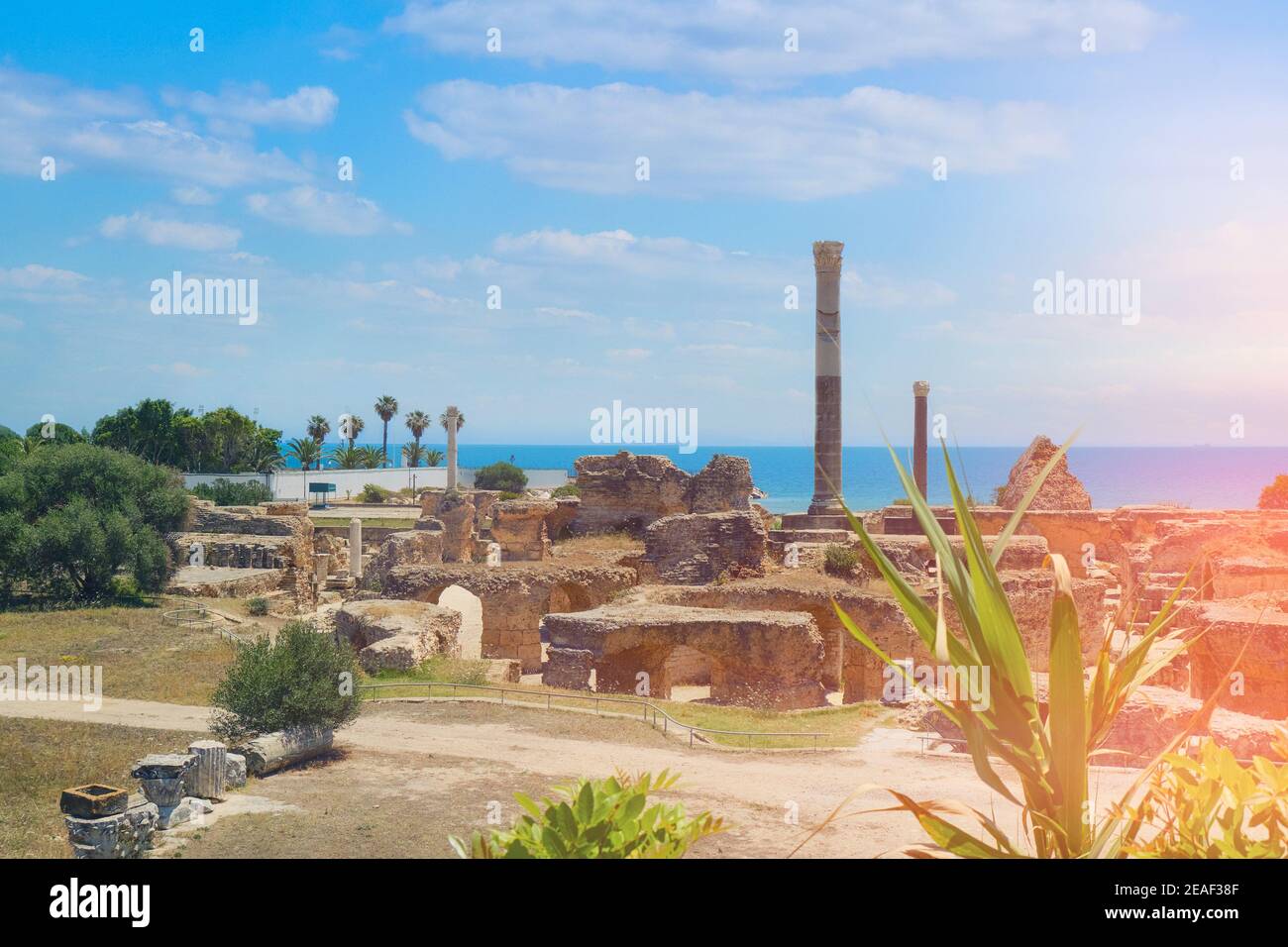 Colonnes en termes Anthony. Fouilles de Carthage des guerres Puniques romaines. Tunisie 18 06 2019 Banque D'Images