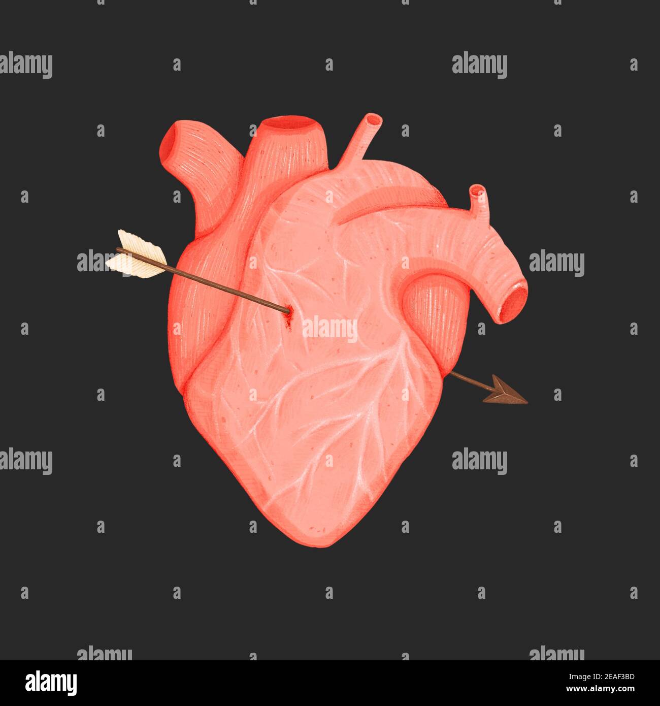 Coeur humain avec flèche de Cupid isolée sur fond noir. Illustration dessinée à la main Banque D'Images