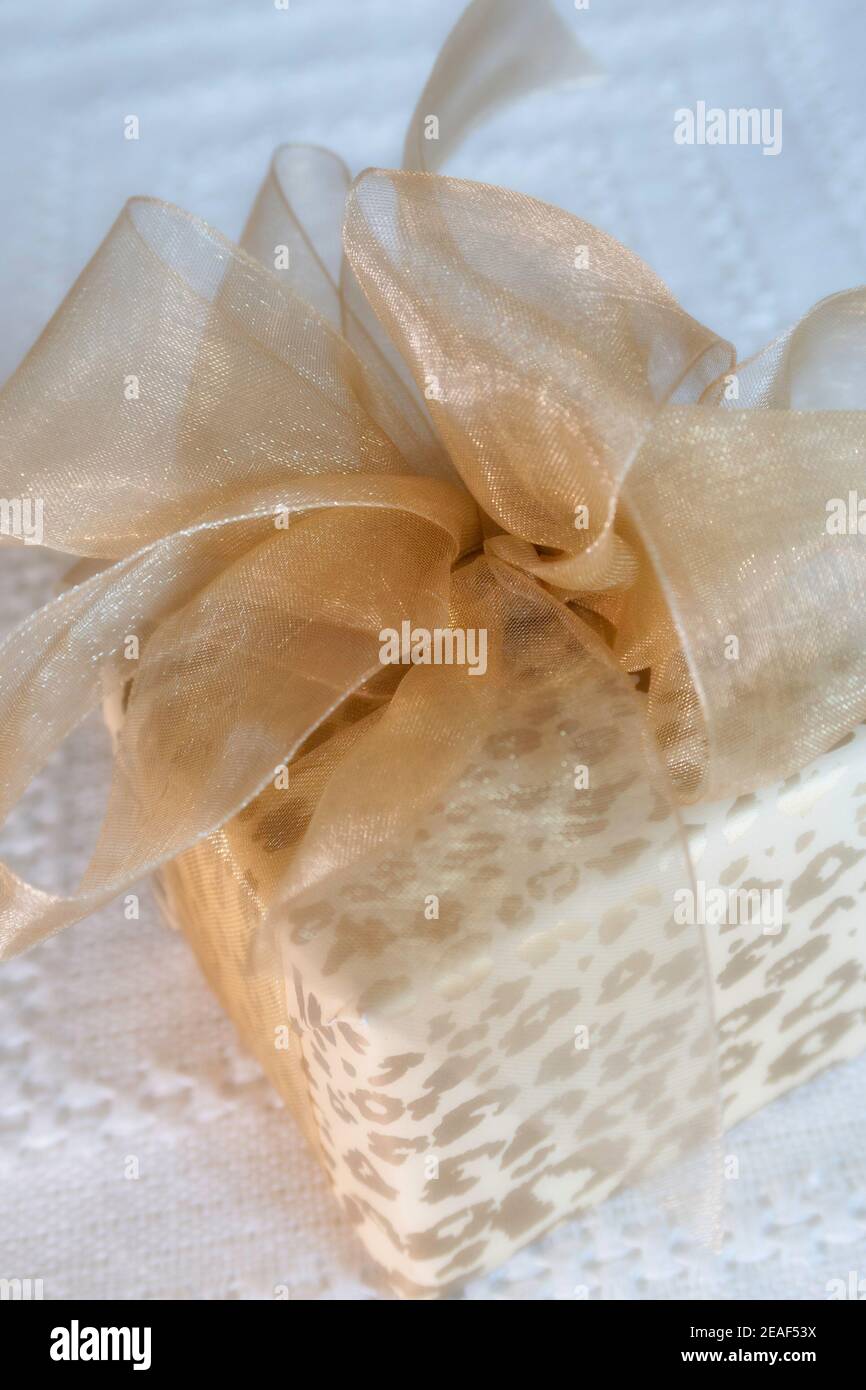 Gros plan sur un cadeau emballé professionnel avec un magnifique arc Banque D'Images