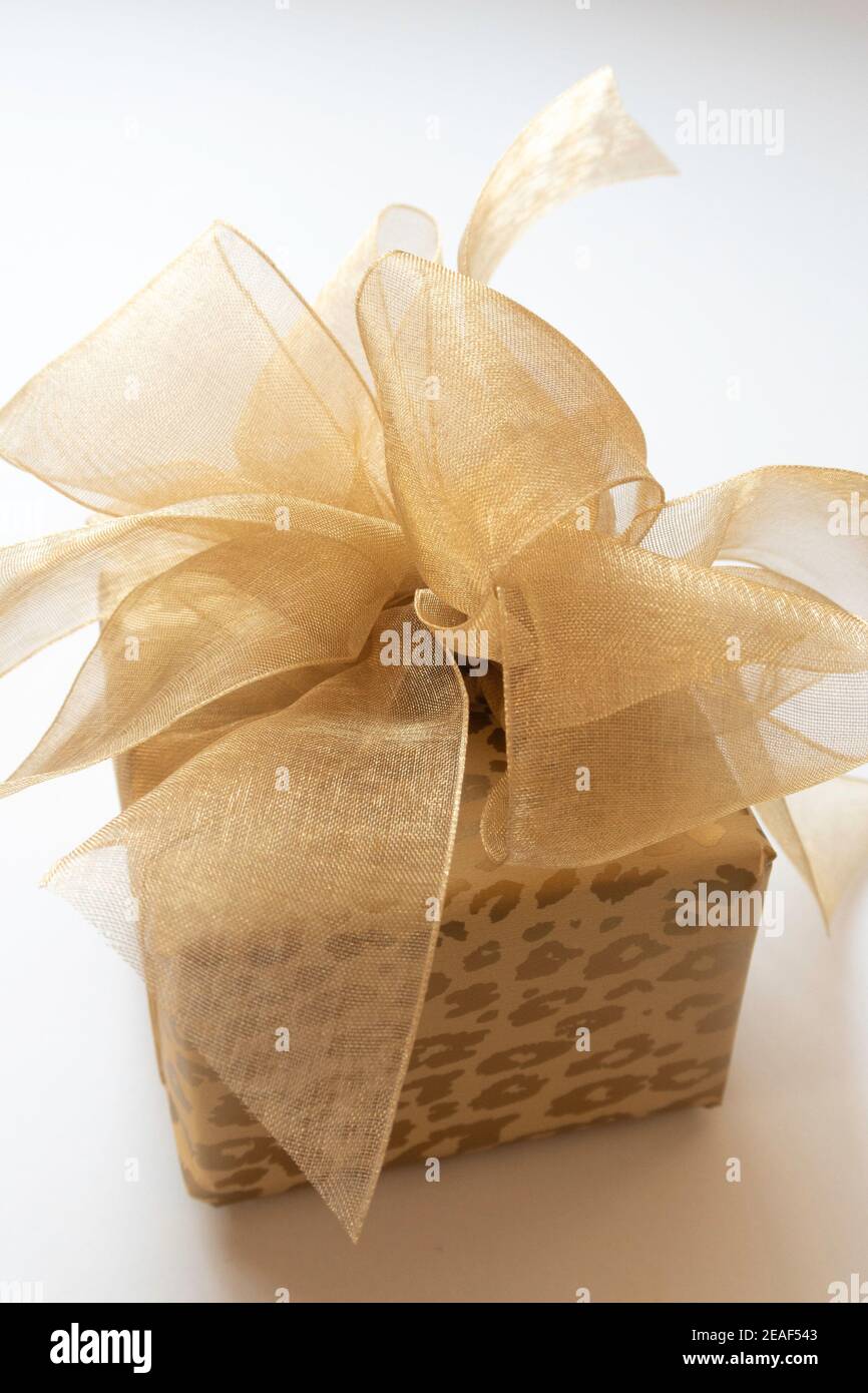Gros plan sur un cadeau emballé professionnel avec un magnifique arc Banque D'Images