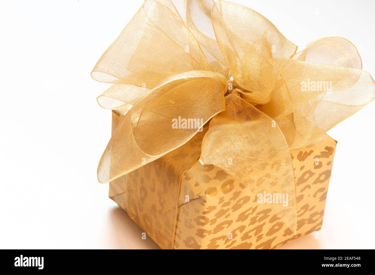 Gros plan sur un cadeau emballé professionnel avec un magnifique arc Banque D'Images