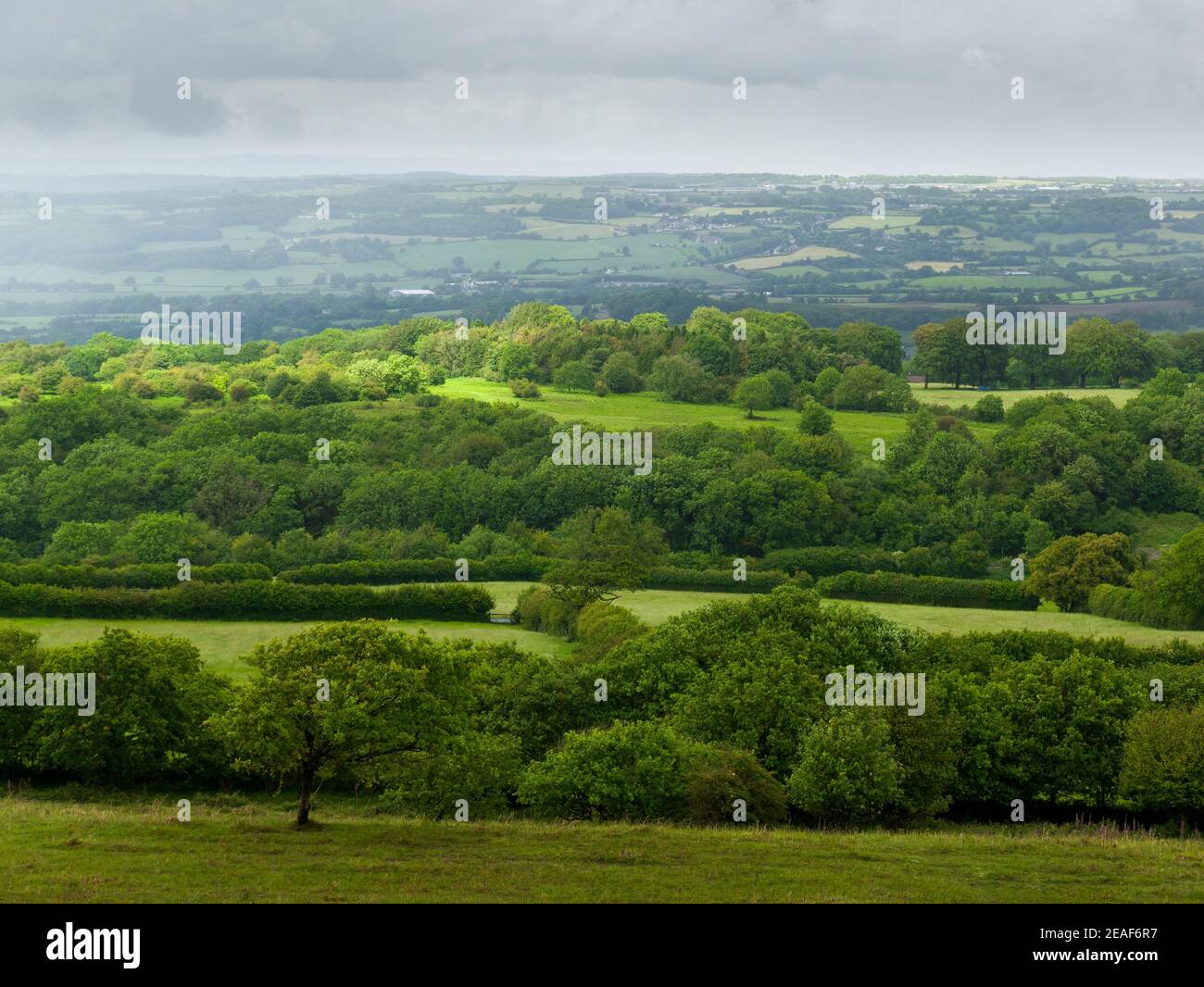 Burrington Ham et la vallée de Yeo au-delà vus de Black Down dans le paysage national de Mendip Hills, Somerset, Angleterre. Banque D'Images