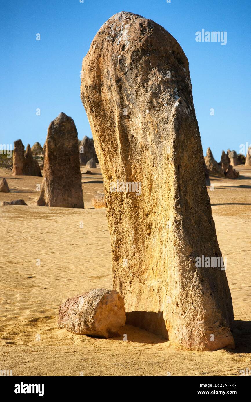 Monolithes du désert des Pinnacles près de Cervantes en Australie occidentale Banque D'Images