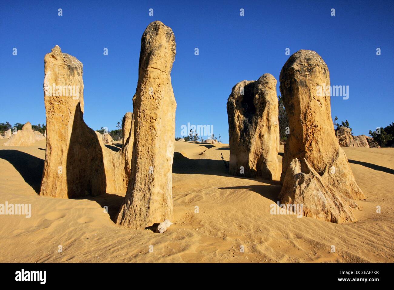 Monolithes du désert des Pinnacles près de Cervantes en Australie occidentale Banque D'Images