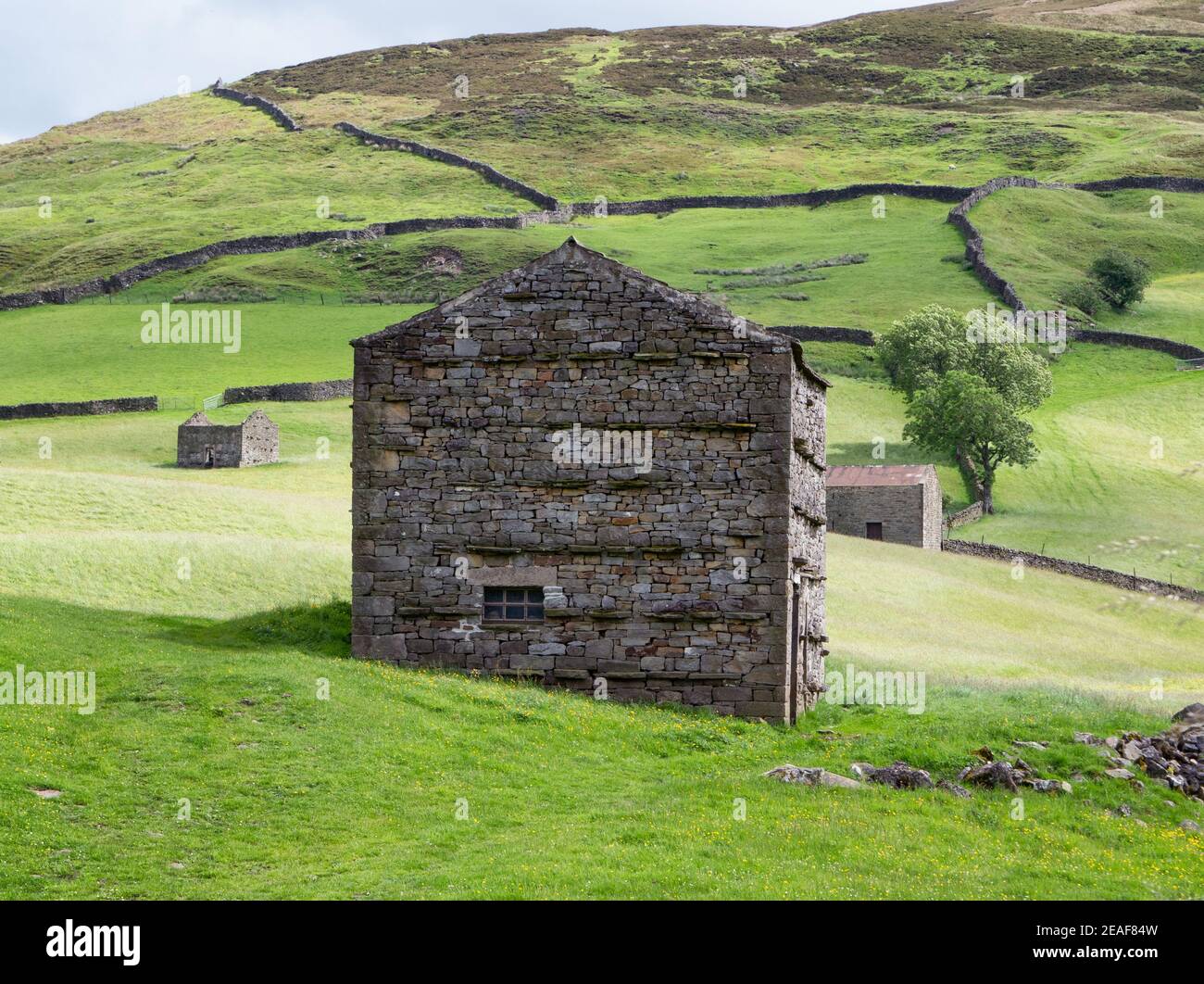Des granges de campagne à Swaledale dans le parc national de Yorkshire Dales ROYAUME-UNI Banque D'Images
