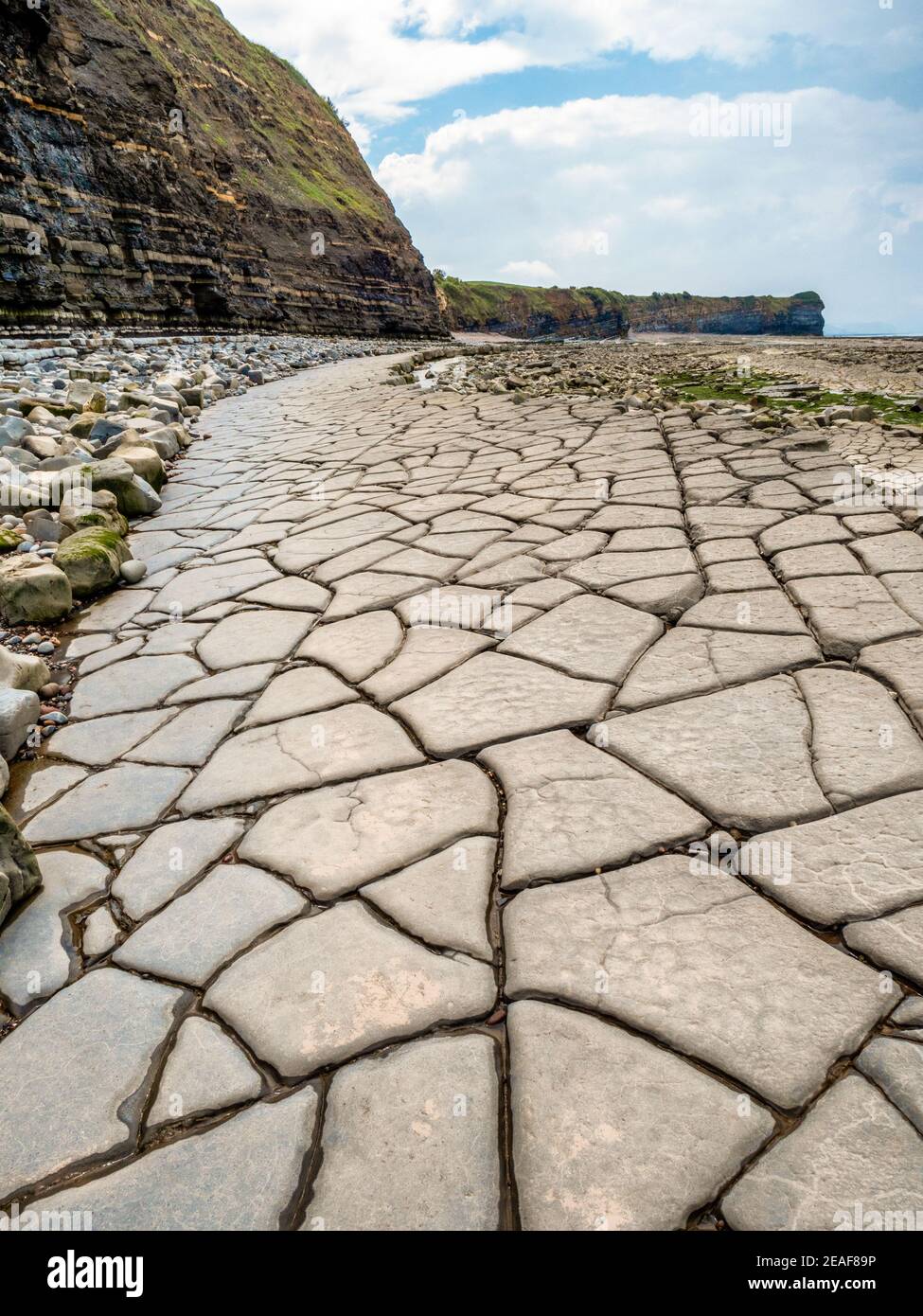 Plate-forme de coupe en vagues des strates Jurassic Lias formant de vastes trottoirs À marée basse sur la côte nord du Somerset près de l'est Quantoxhead Banque D'Images